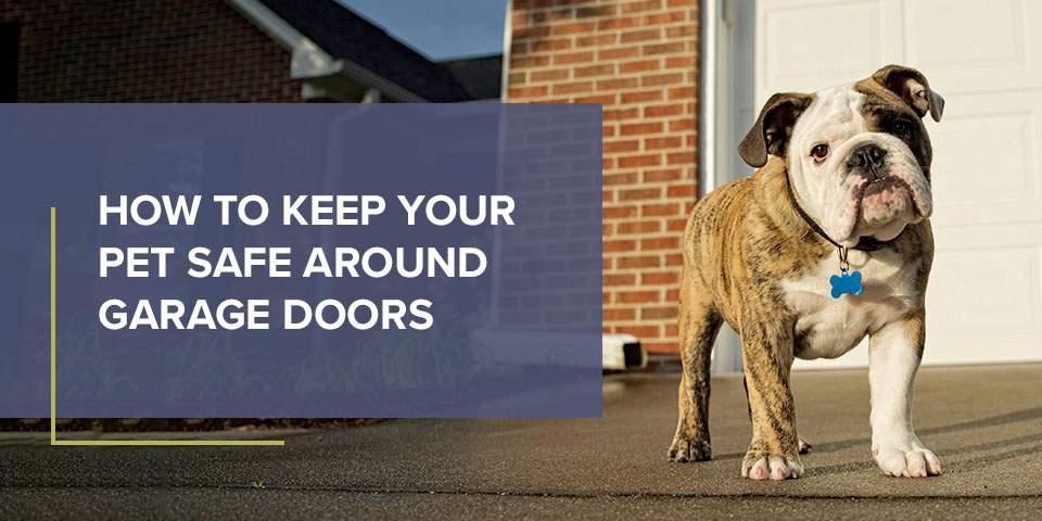 How to Keep Your Pet Safe Around Garage Doors