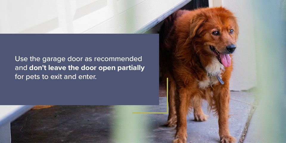 Garage Door Safety Tips for Pet Owners